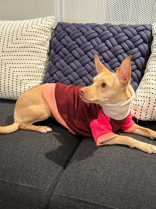 Raglan Fleece Jumper | Multi