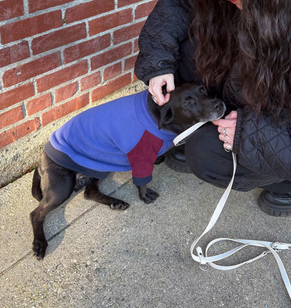 Jumper | Fleece Multicolour