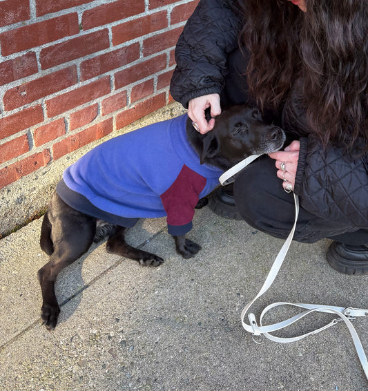 Jumper | Fleece Multicolour