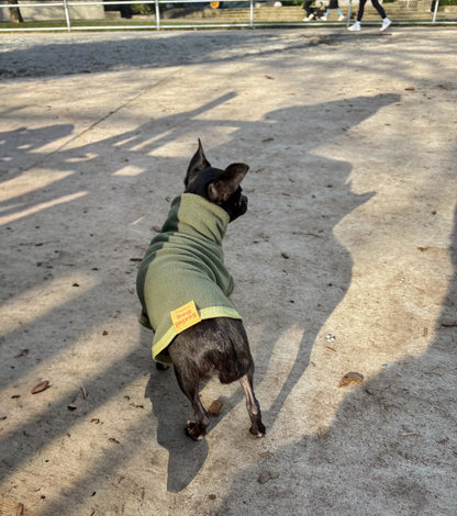 Jumper | Fleece Solid