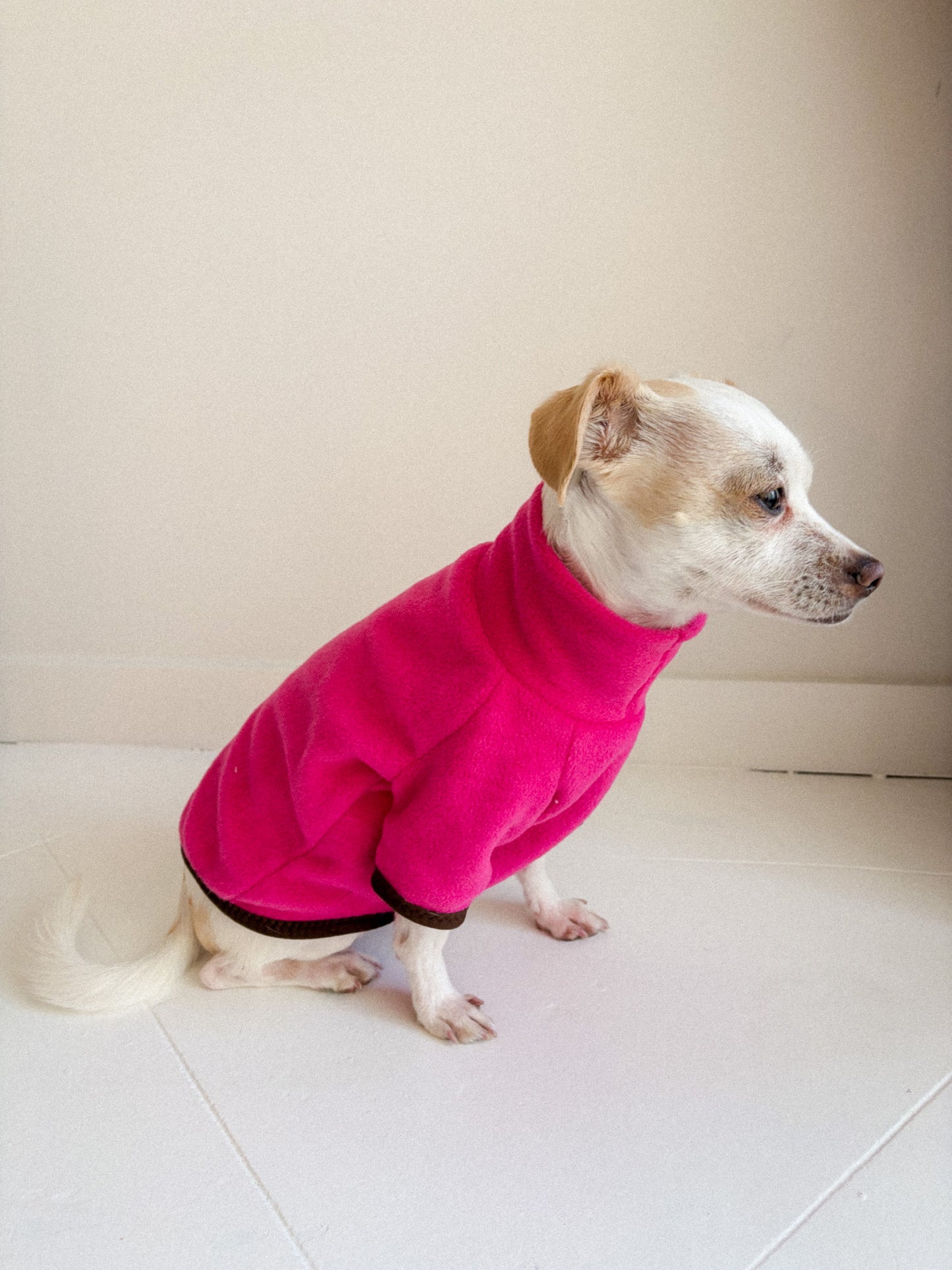 Raglan Fleece Jumper | Solid