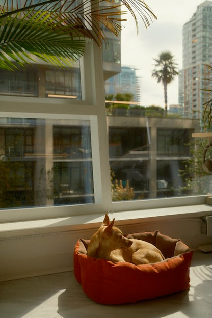 City Bed