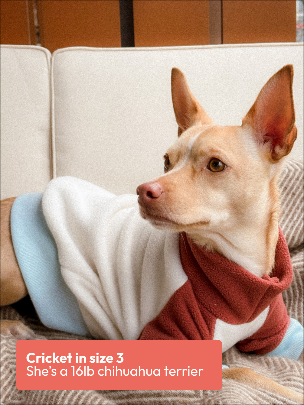 Jumper | Fleece Multicolour