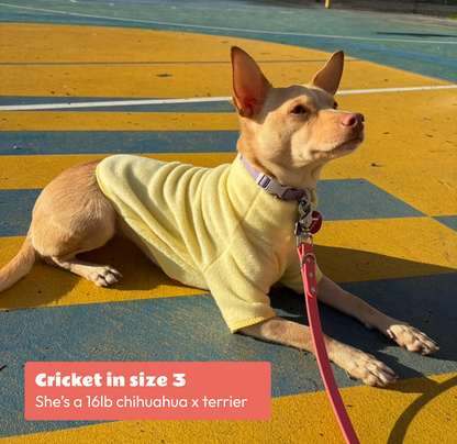 Jumper | Fleece Solid