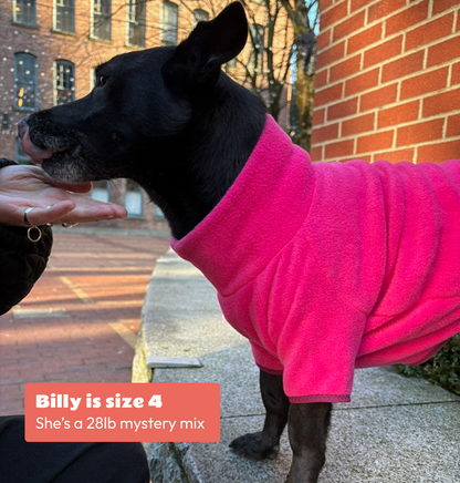 Jumper | Fleece Solid