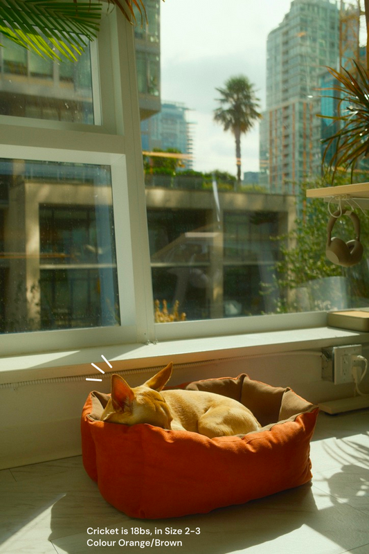 City Bed