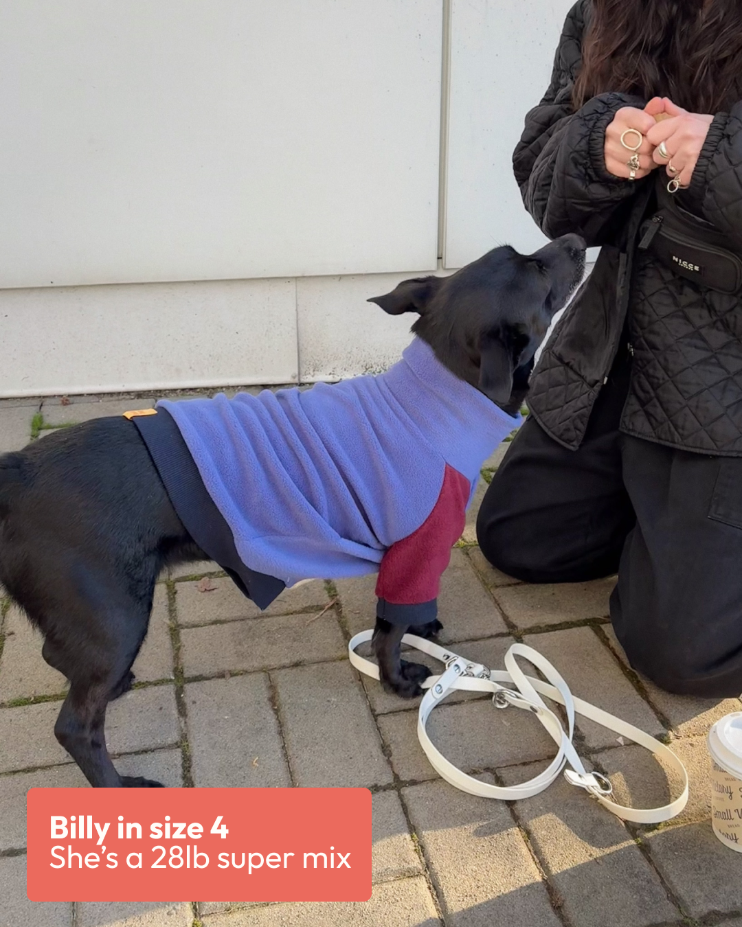 Jumper | Fleece Multicolour