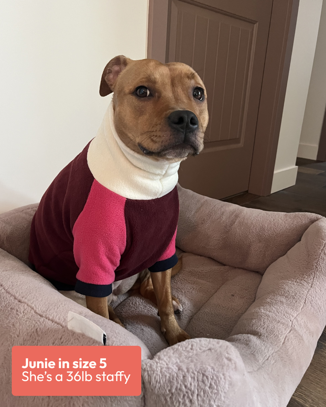 Jumper | Fleece Multicolour