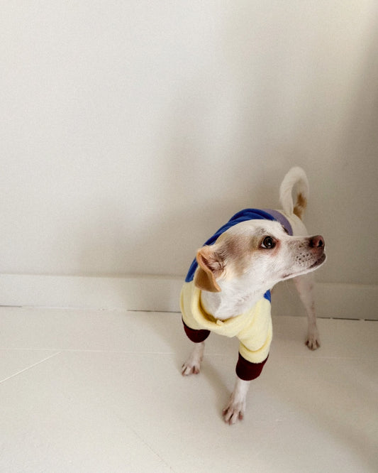 Raglan Fleece Jumper