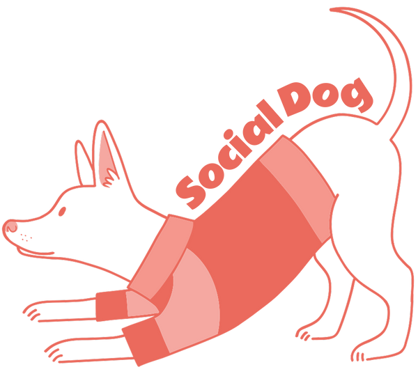 Social Dog